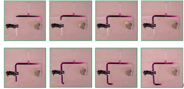 chuyên đề vật lý 8