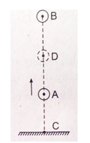Trắc nghiệm: Sự bảo toàn năng lượng trông các hiện tượng cơ và nhiệt