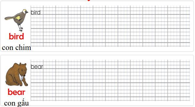 Tập viết Tiếng Anh lớp 1 Unit 6 They're bears