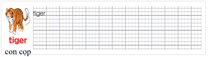 Tập viết Tiếng Anh lớp 1 Unit 6 They're bears