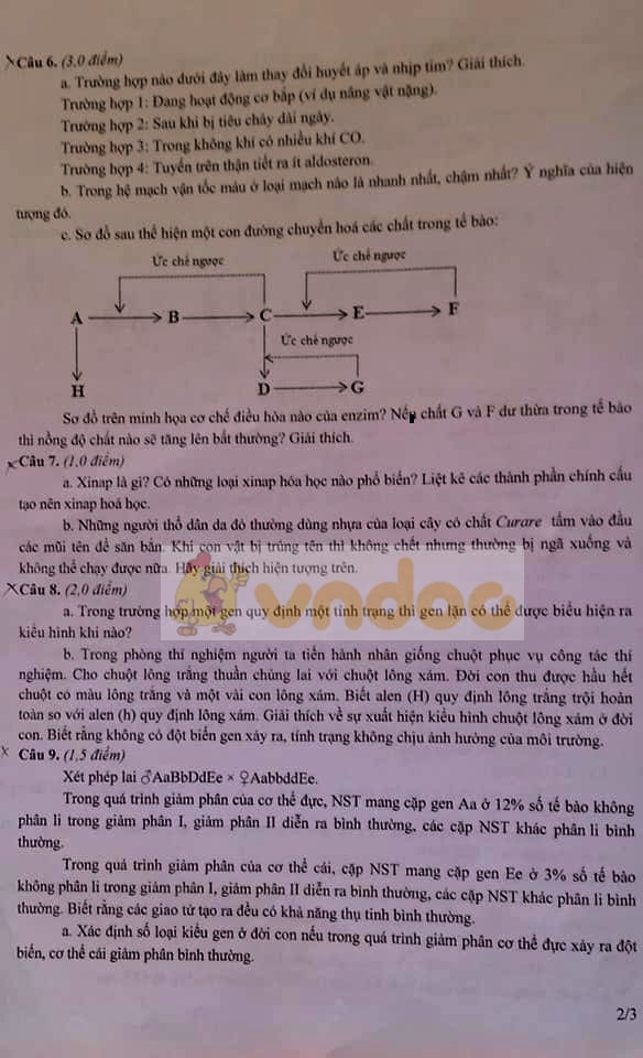 Đề thi học sinh giỏi lớp 12 môn Sinh năm 2020