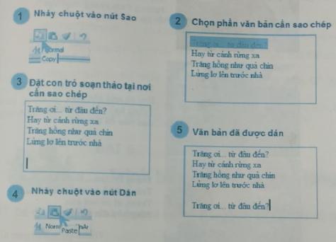 Sao chép văn bản
