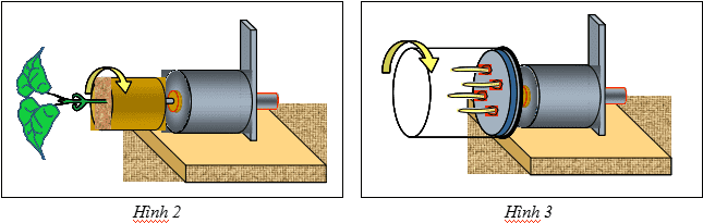 Đề thi chọn học sinh giỏi môn Sinh lớp 12 câu VI