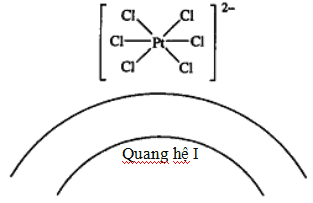 Đề thi chọn học sinh giỏi môn Sinh câu V