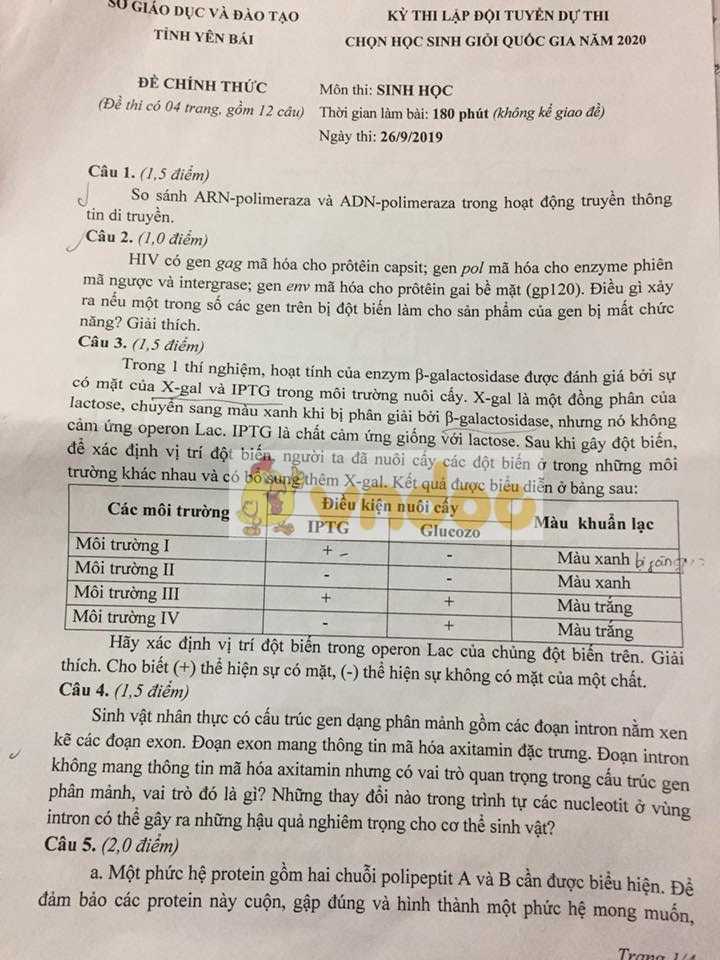 Đề thi chọn học sinh giỏi lớp 12 môn Sinh năm 2020 tỉnh Yên Bái