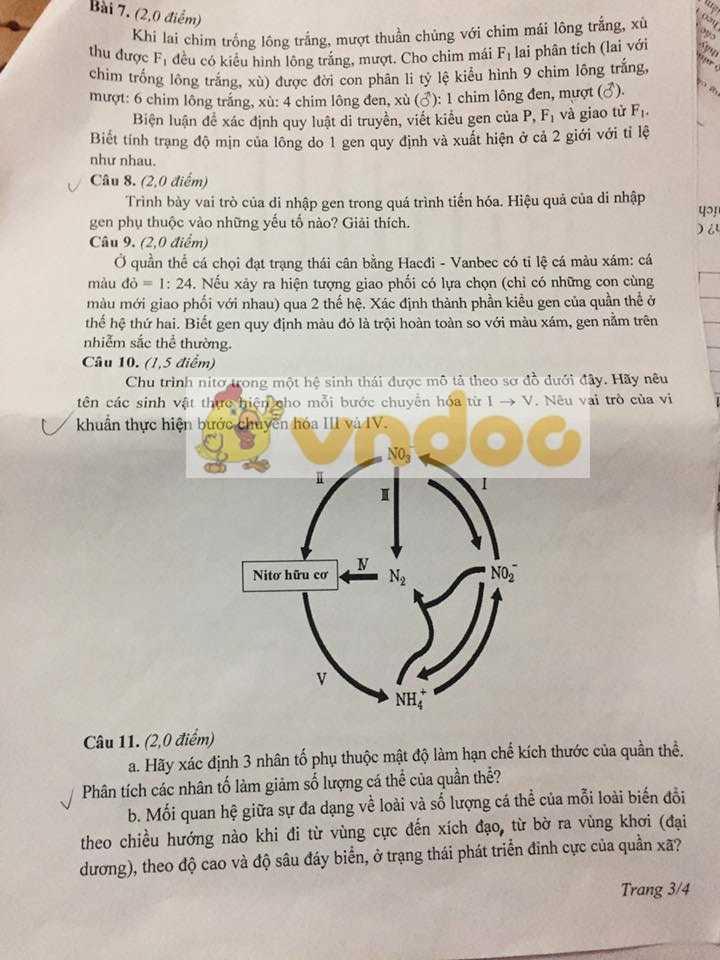 Đề thi chọn học sinh giỏi lớp 12 môn Sinh năm 2020 tỉnh Yên Bái