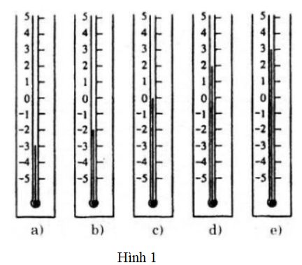 Giải VBT Toán lớp 6