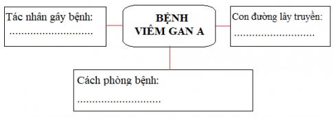 Phòng bệnh viêm gan A
