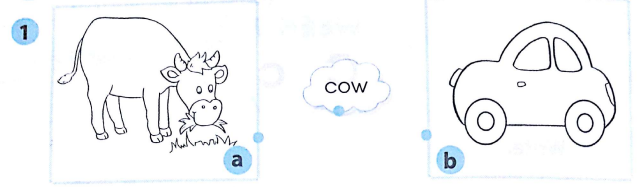 Phiếu bài tập cuối tuần môn Tiếng Anh lớp 1 Tuần 7