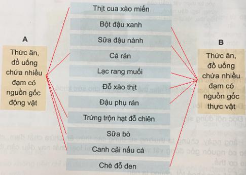 Cần ăn thức ăn chứa đạm, chất béo như thế nào để cơ thể khỏe mạnh?