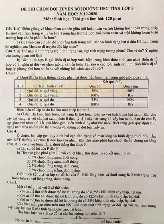 Đề thi chọn đội tuyển học sinh giỏi lớp 9 môn Sinh học huyện Vũ Quang, Hà Tĩnh năm học 2019 - 2020