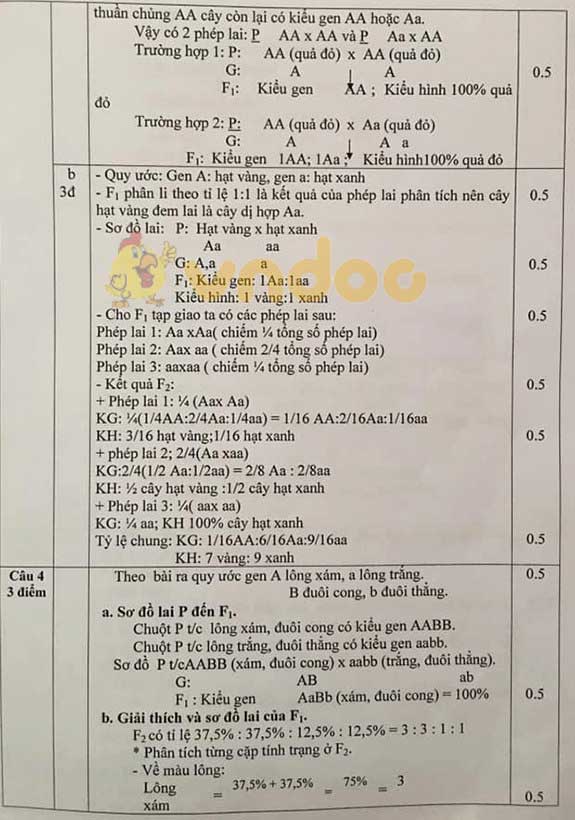 Đề thi chọn đội tuyển học sinh giỏi lớp 9 môn Sinh học huyện Vũ Quang, Hà Tĩnh năm học 2019 - 2020