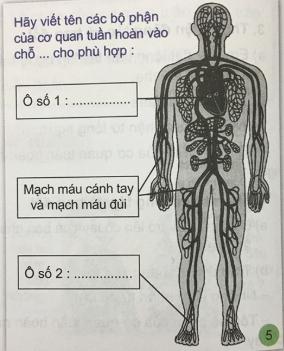 Hoạt động thực hành Giải bài 3 sách VNEN