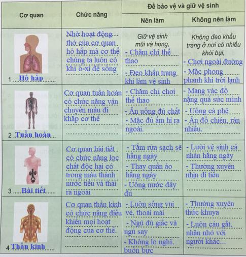 Giải phiếu kiểm tra 1: Chúng em học được những gì từ chủ đề con người và sức khỏe