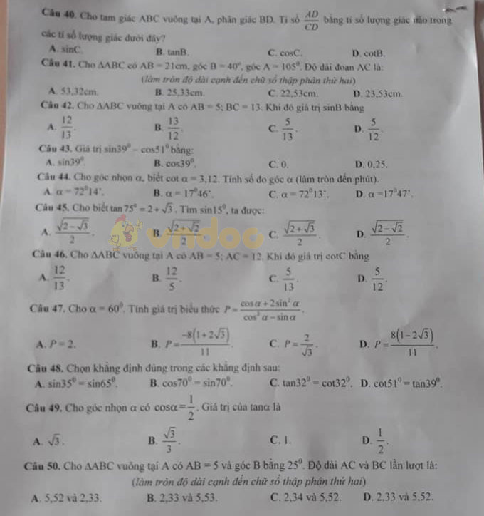 Đề cương ôn tập lớp 9 môn Toán trường THCS Hải Triều năm học 2019 - 2020