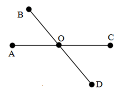 chuyên đề toán 6
