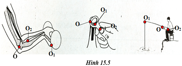 Giải VBT Vật lý lớp 6 - Bài 15: Đòn bẩy