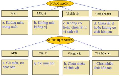 Giải Khoa học lớp 4 VNEN