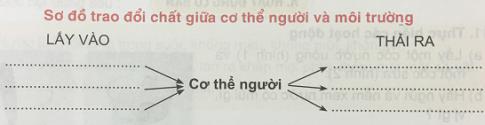 Giải Khoa học lớp 4 VNEN bài Phiếu kiểm tra 1