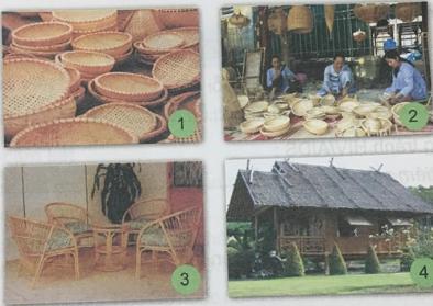 Giải Khoa học lớp 5 VNEN