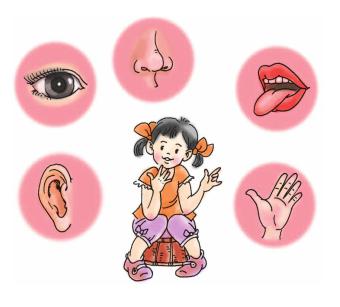 Giải SGK Tự nhiên và xã hội 1