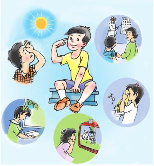 Giải SGK Tự nhiên và xã hội 1 bài 4