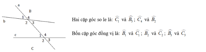 Trắc nghiệm: Các góc tạo bởi một đường thẳng cắt hai đường thẳng 