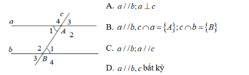 chuyên đề toán 7