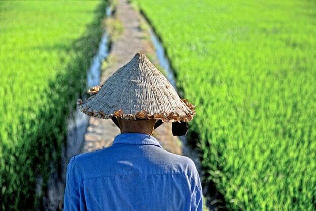 người nông dân trong tác phẩm tức nước vỡ bờ