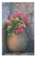 Giải SGK Tự nhiên và xã hội 1 bài 23