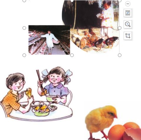 Giải SGK Tự nhiên và xã hội 1 bài 26