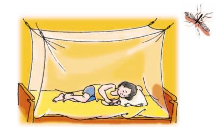 Giải SGK Tự nhiên và xã hội 1 bài 28