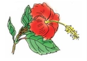 Giải SGK Tự nhiên và xã hội 1 bài 29