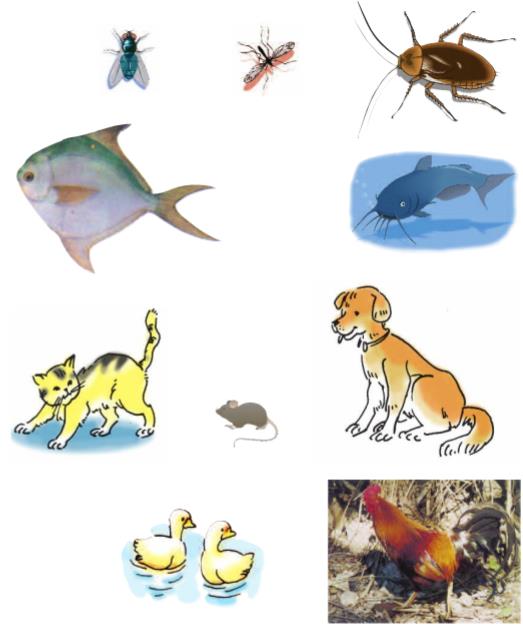 Giải SGK Tự nhiên và xã hội 1 bài 29