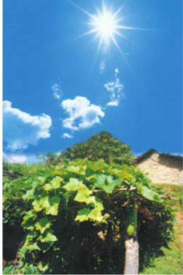 Giải SGK Tự nhiên và xã hội 1 bài 30: Trời nắng, trời mưa