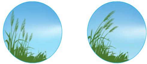 Giải SGK Tự nhiên và xã hội 1 bài 34