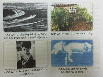 Khoa học tự nhiên 9 Bài 22: Đột biến gen