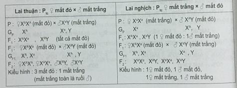 Khoa học tự nhiên 9 Bài 27: Di truyền liên kết và liên kết với giới tính