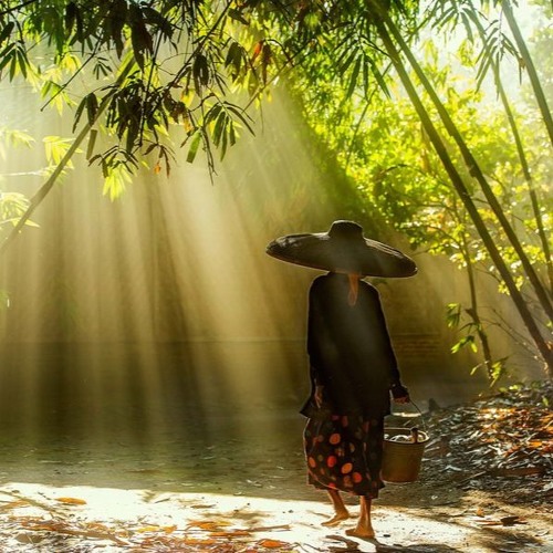 hình ảnh bà tôi