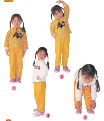 Giải bài tập SGK Tự nhiên và xã hội 2 bài 1: Cơ quan vận động