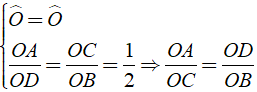 Bài tập: Các trường hợp đồng dạng của tam giác