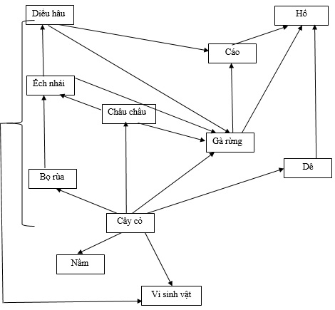 Khoa học tự nhiên 9 bài 66: Luyện tập sinh vật với môi trường