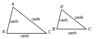 Lý thuyết: Các trường hợp đồng dạng của tam giác