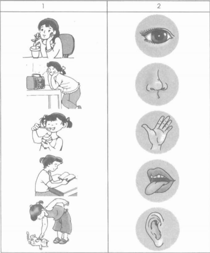 Giải vở bài tập Tự nhiên và Xã hội 1 bài 2