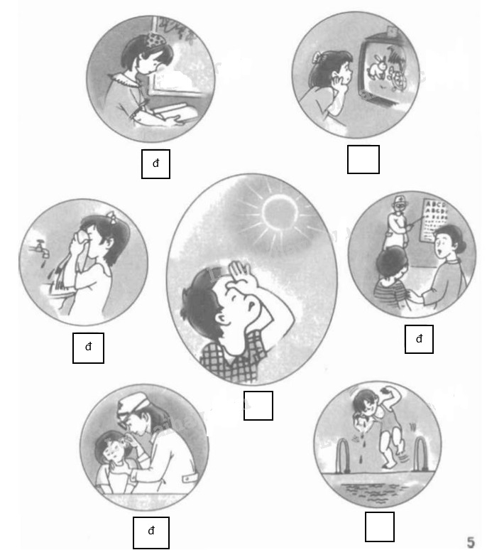 Giải vở bài tập Tự nhiên và Xã hội 1 bài 4