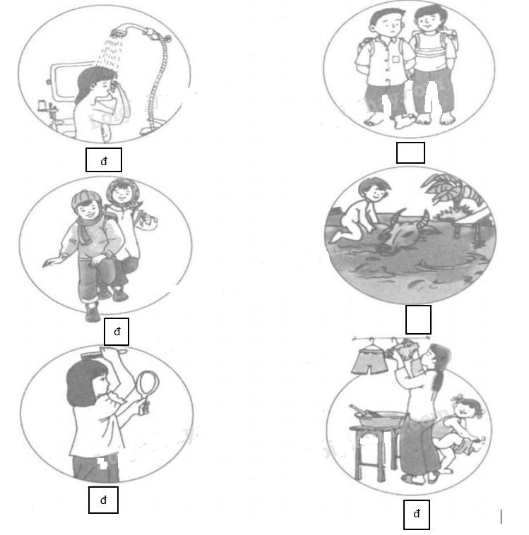 Giải vở bài tập Tự nhiên và Xã hội 1 bài 5 Câu 1