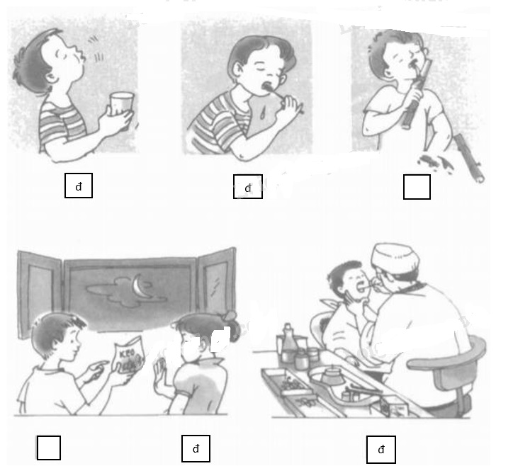 Giải vở bài tập Tự nhiên và Xã hội 1 bài 6 Câu 1