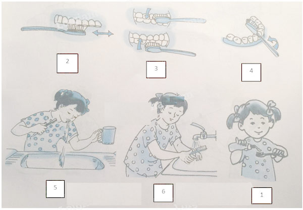 Giải vở bài tập Tự nhiên và Xã hội 1 bài 7