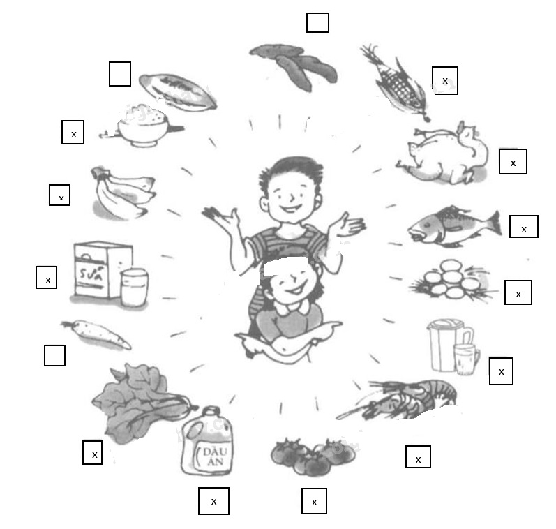 Giải vở bài tập Tự nhiên và Xã hội 1 bài 8