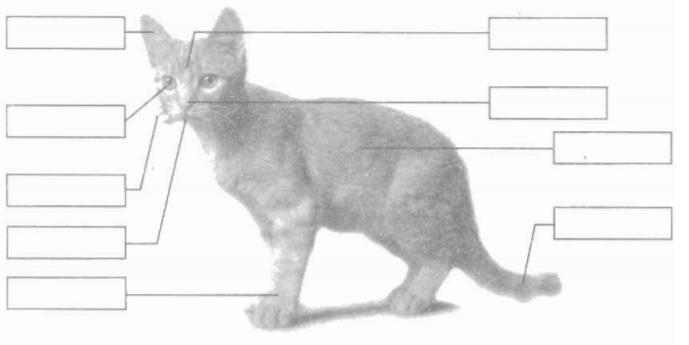 Giải vở bài tập Tự nhiên và Xã hội 1 bài 27